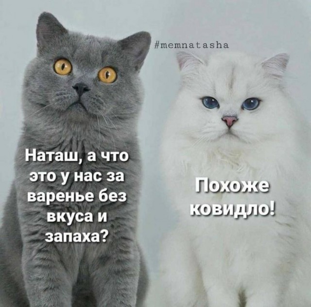 Картинки и мемы для настроения 03.12.2020