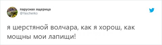 Пользователь Твиттера предложил перевести любую фразу на юридический язык