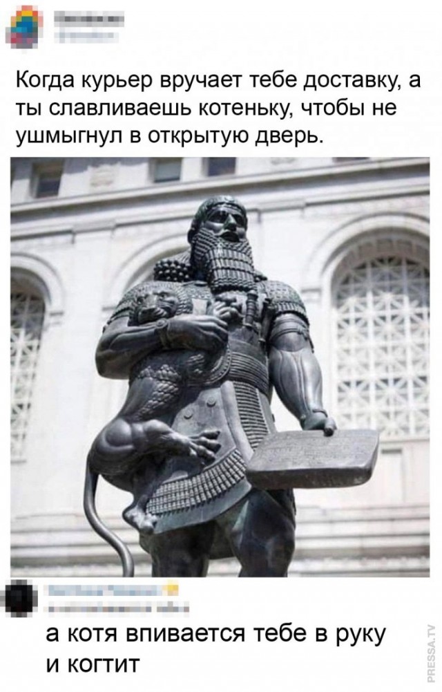 Картинки и мемы для настроения 13.04.2021