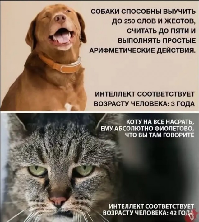 Ты должен был будить меня, а не примкнуть к спящим!