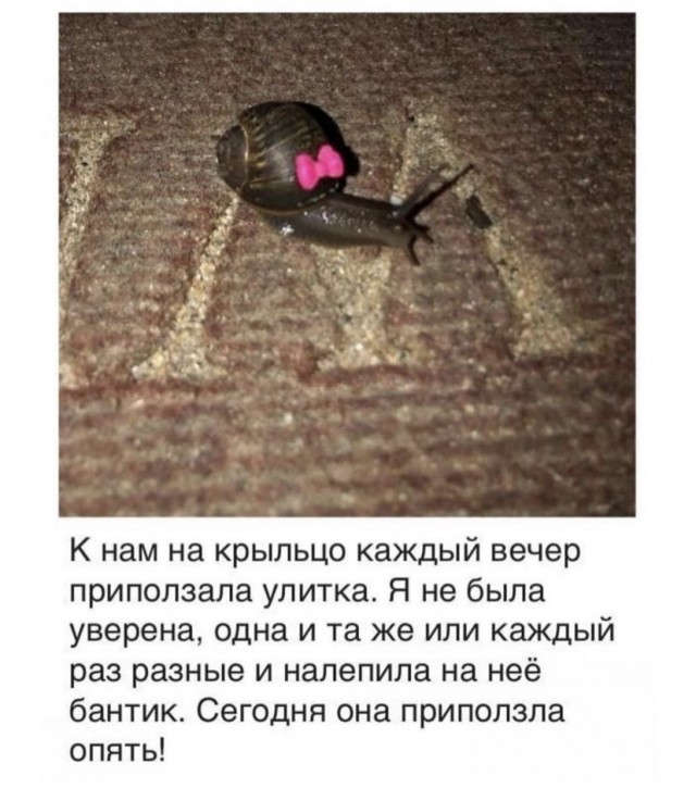 Картинки и мемы, всем прекрасных выходных