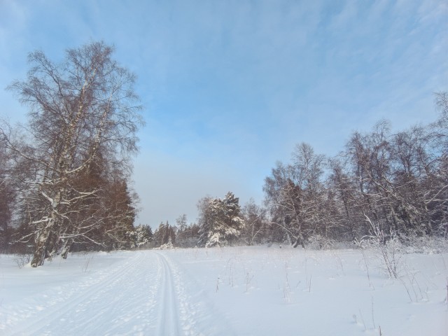 Первое января глазами непьющего человека
