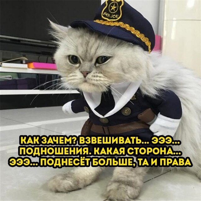 Всяческие картинки 17.01.2022