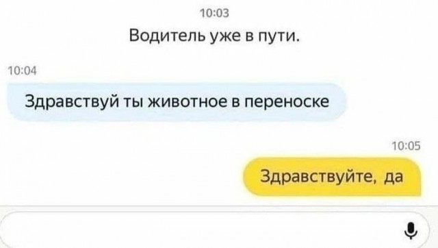 Картинки с надписями и всякие жизненные фразы