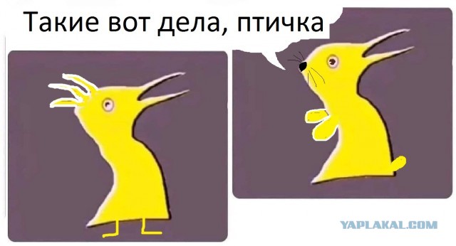 Небольшая разминка для мозга