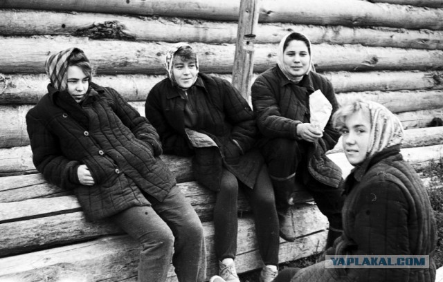 Фуфайка. История ватника-телогрейки