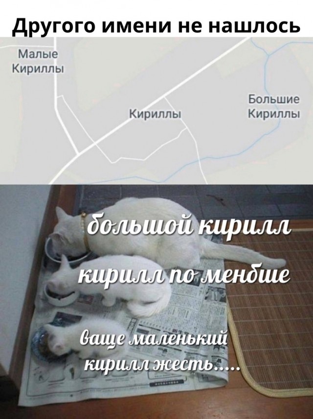 Чуток картинок 27.03.22