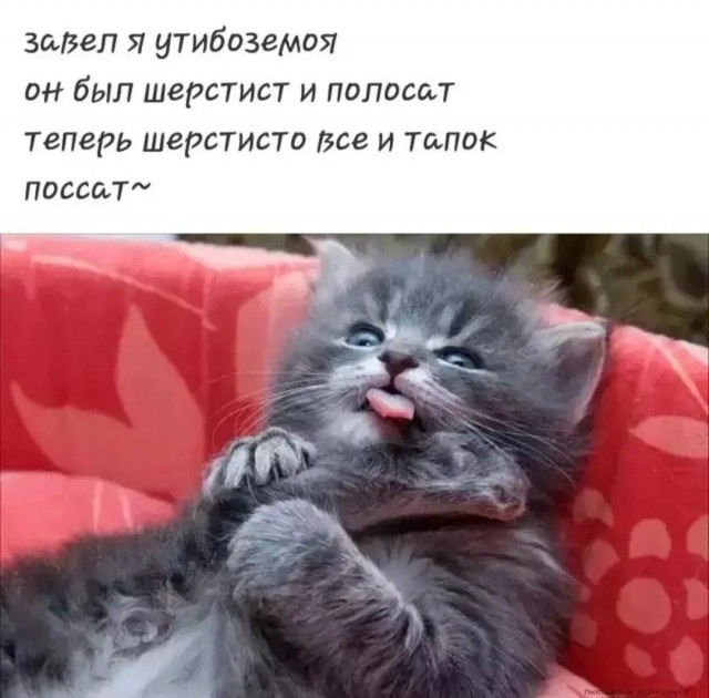 Баянисто-небаянистый юмор 28.03.22