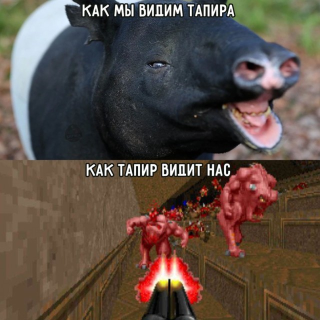 Картинки и мемы для настроения. Выходные скоро