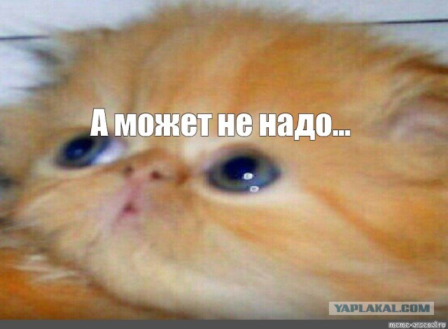 Все закончится 17 сентября