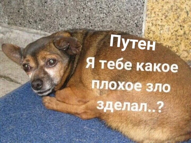 ⚡️Киев признал, что задействовал вчера ПВО рядом с местом падения ракет в Польше