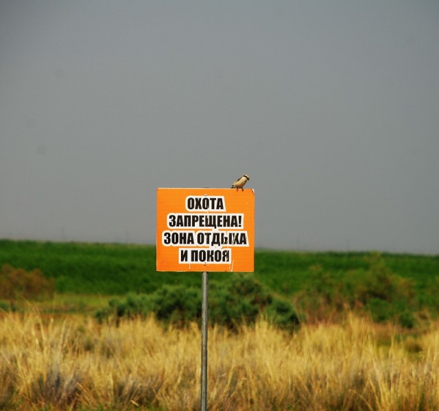 Путешествие на ВАЗе