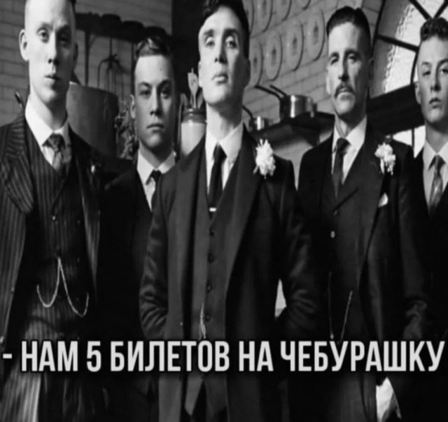 Весёлый полтишок 25.01.23