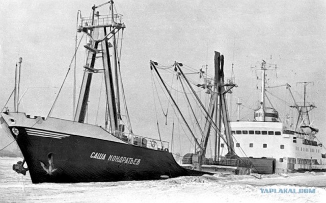 Гибель теплохода "Нина Сагайдак"1983 (3 фото)