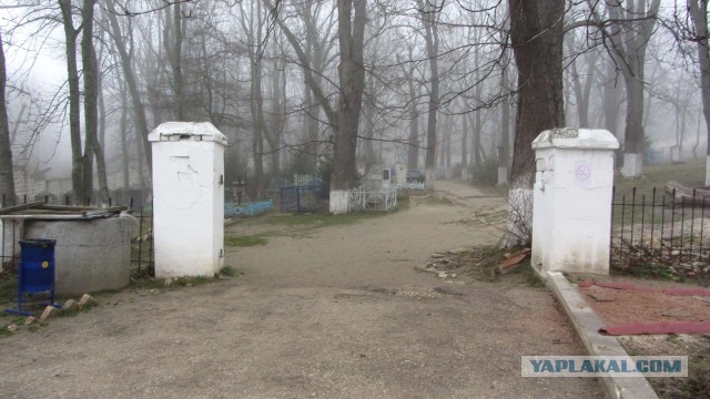 Крым в феврале или "Не стреляйте в белых лебедей!"