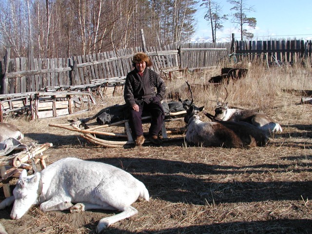 Оленевод Гаврила и 100 грамм водки