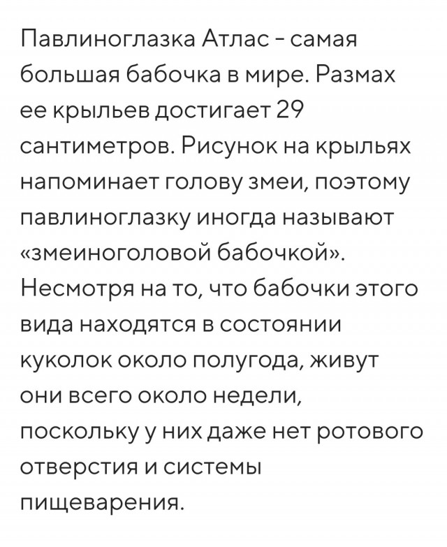Развелась из-за запаха