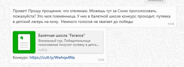 Не голосуйте за «племянницу»