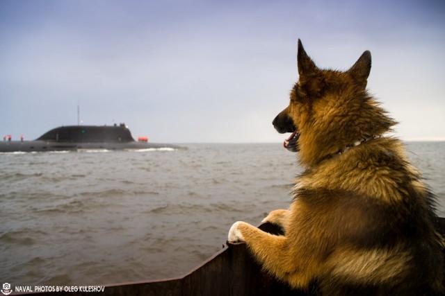 Советский и российский подводный флот на фото