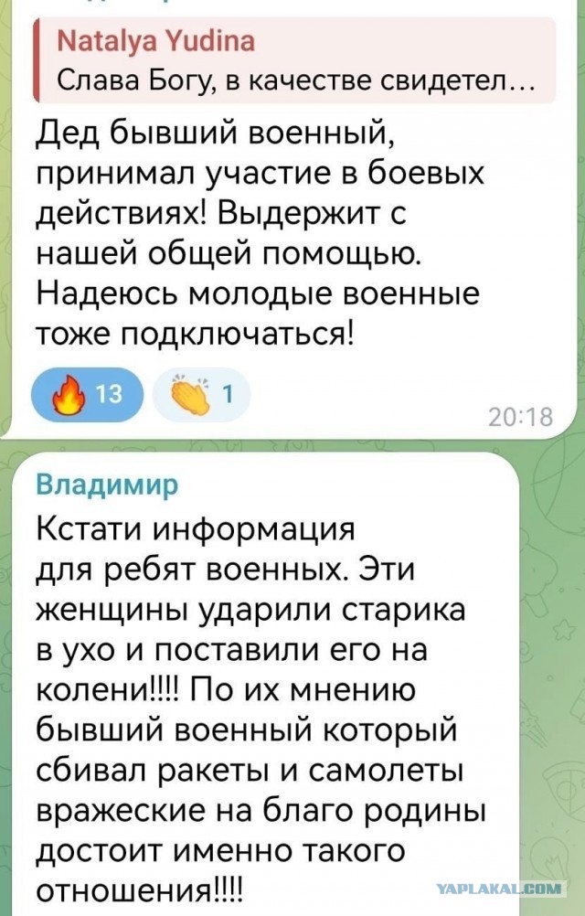 В Астрахани зоозащитники схватили пенсионера за грудки и обвинили в травле собак