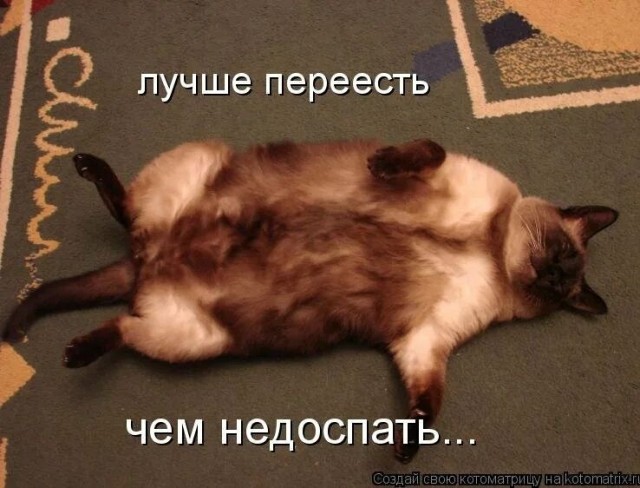 Бездомный пес Бублик стал самым пухлым на районе в Нефтеюганске