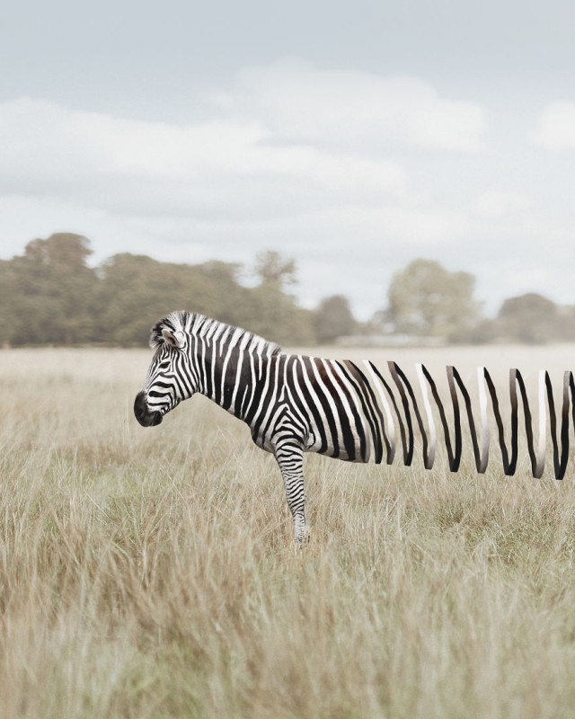 Литературный конкурс "Драма"