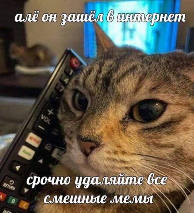 Всего понемногу. От 02.04.24