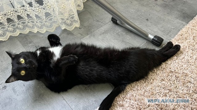 Коть, тебе нормально?