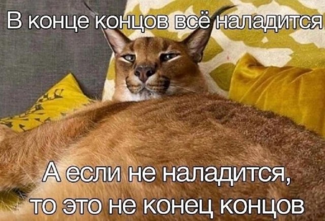 Всего понемногу. От 16.05.2024
