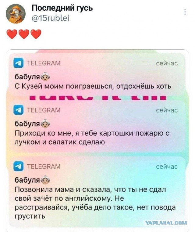 Деревенская кошка