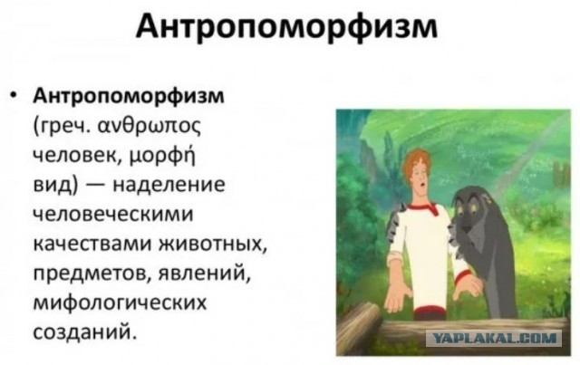 Милота дня: чел взял котенка из приюта, но тот отказался уходить без своей лучшей подруги, и кожаному пришлось забрать обоих