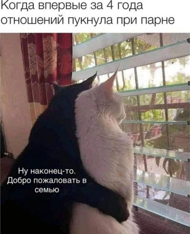 Пердеть при второй половинке — признак здоровых отношений, уверяют сексологи.