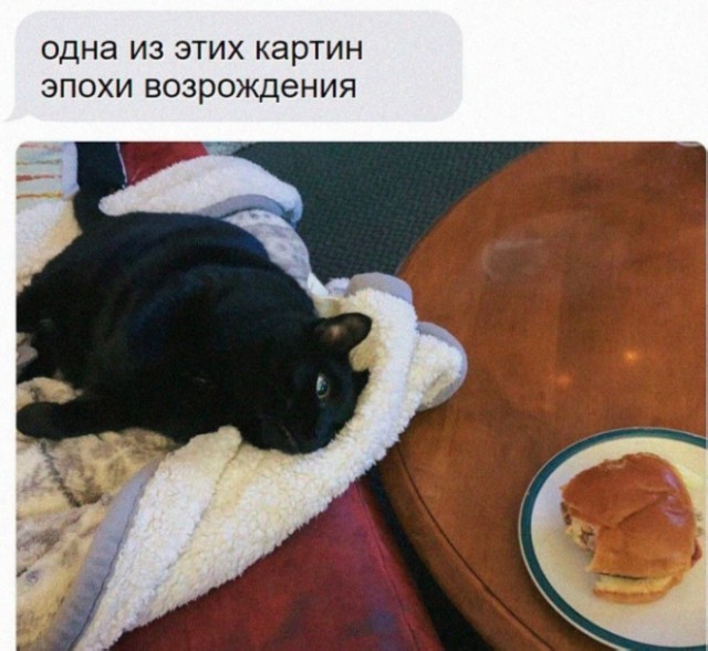 Так себе картинки 29.09.25