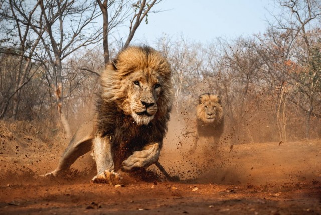 Картиночки на 15.01.2026