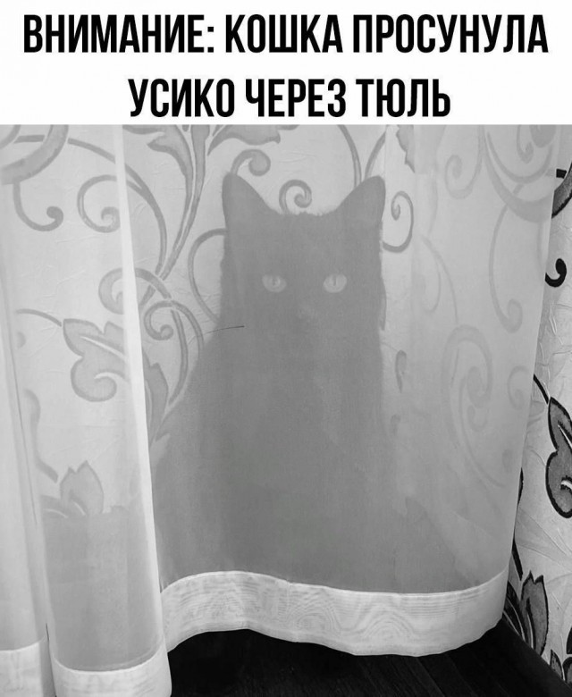 Куча мала 14