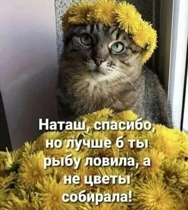 Так себе картинки 03.03.26