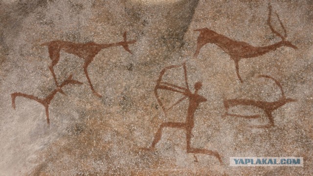 Какими хорошими они казались, возможно и были