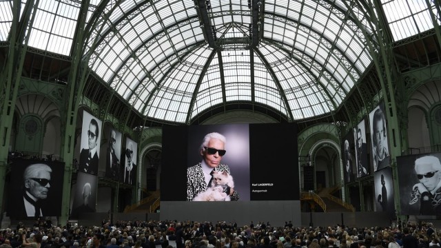 Любимая кошка Лагерфельда осталась без наследства