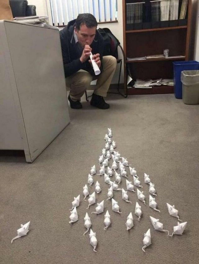 *БАЯН*Ещё 1..