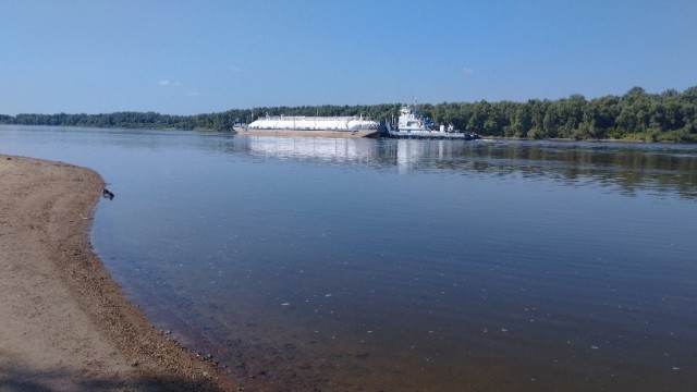 Нашёл камень, похожий на моляр мамонта