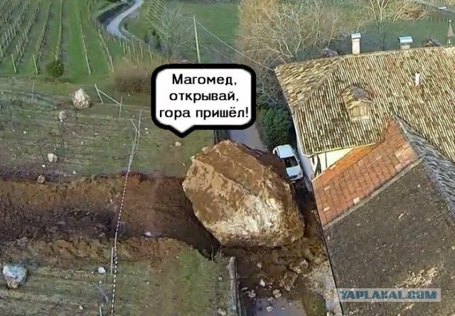 Смешное из соц сетей