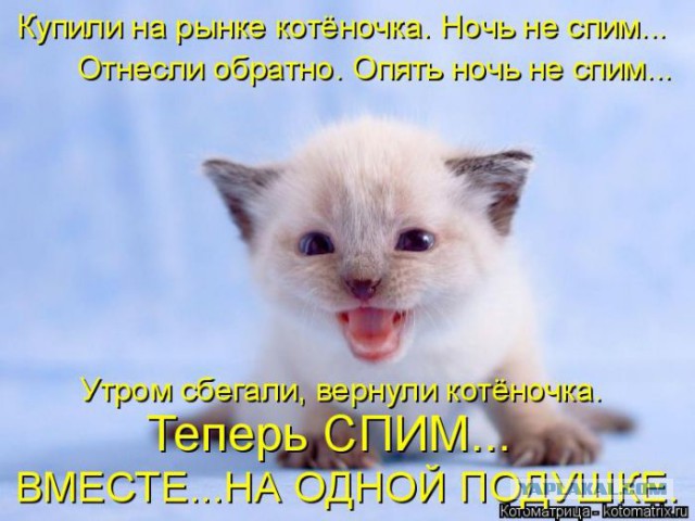 Точность исполнения заказа на высоте