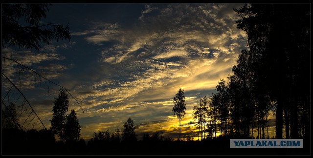 Лучшие фотографии года