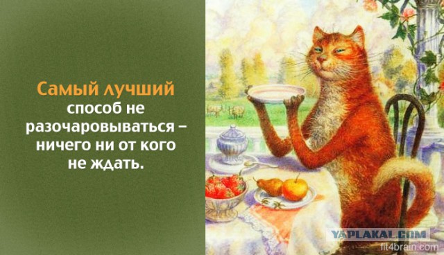 Демотиваторы вторника