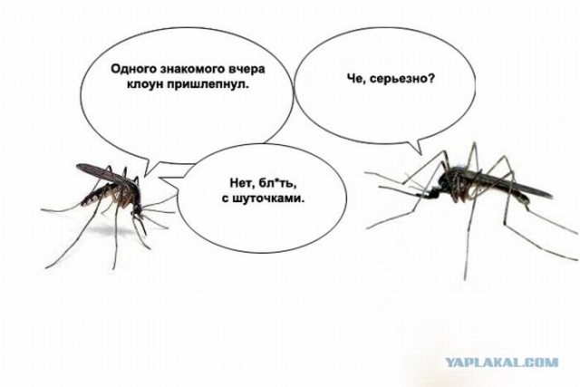 Эскадрилья