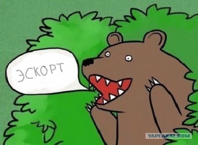 Как устроен бизнес эскорт-услуг.
