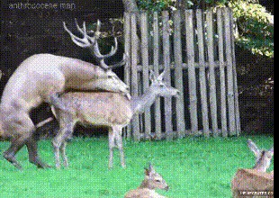 Готовься, детка, 1 ГИФка