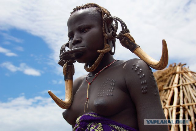Путешествие к изолированным племенам в Эфиопии - племя Хамер