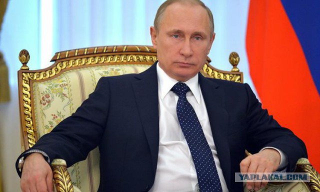 Но выждизайнер!