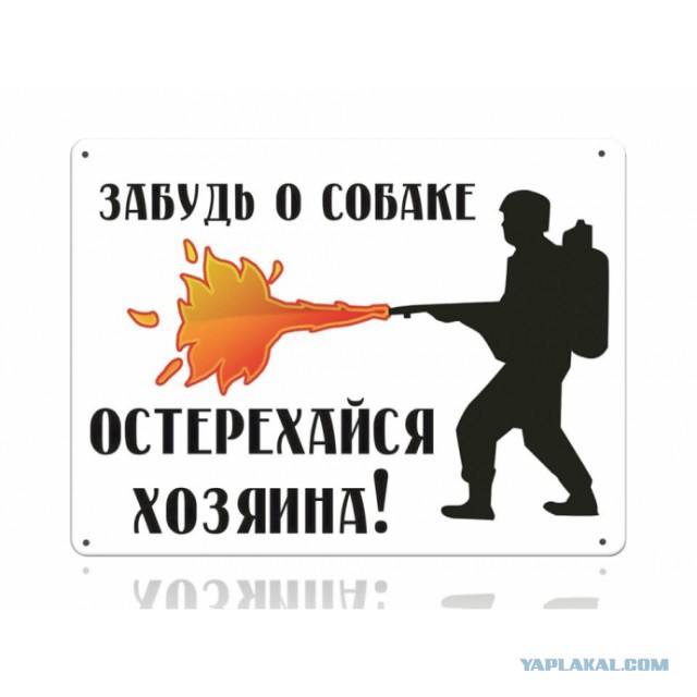 Несоответсвие в весовой категории.  75 кг против 1 кг и 900 грамм